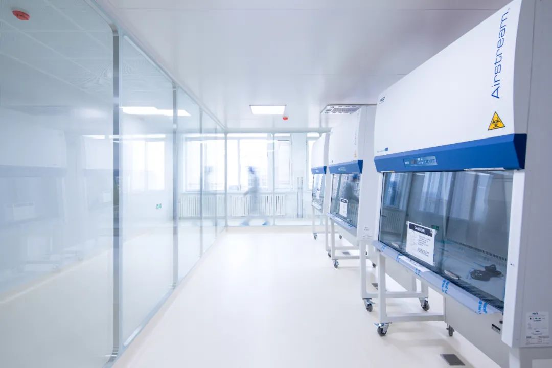 山東凈化工程 山東凈化工程