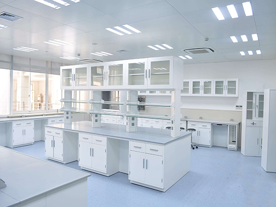 生物實(shí)驗(yàn)室凈化工程 生物實(shí)驗(yàn)室凈化工程